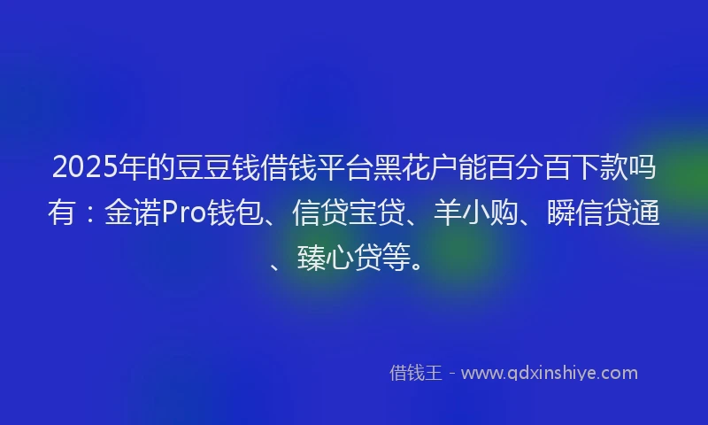2025年的豆豆钱借钱平台黑花户能百分百下款吗有：金诺Pro钱包、信贷宝贷、羊小购、瞬信贷通、臻心贷等。