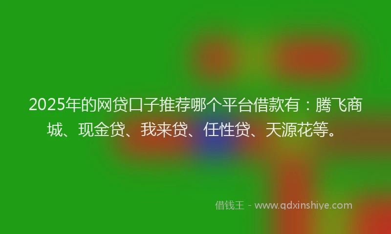 2025年的网贷口子推荐哪个平台借款有：腾飞商城、现金贷、我来贷、任性贷、天源花等。