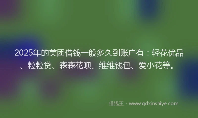 2025年的美团借钱一般多久到账户有：轻花优品、粒粒贷、森森花呗、维维钱包、爱小花等。