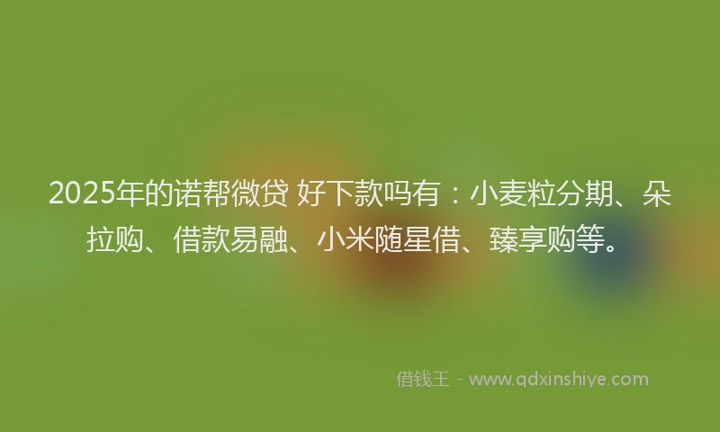 2025年的诺帮微贷 好下款吗有：小麦粒分期、朵拉购、借款易融、小米随星借、臻享购等。