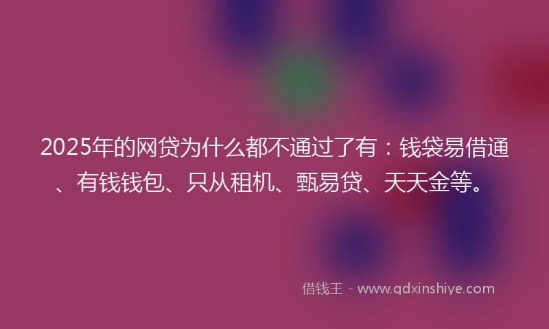 2025年的网贷为什么都不通过了有：钱袋易借通、有钱钱包、只从租机、甄易贷、天天金等。