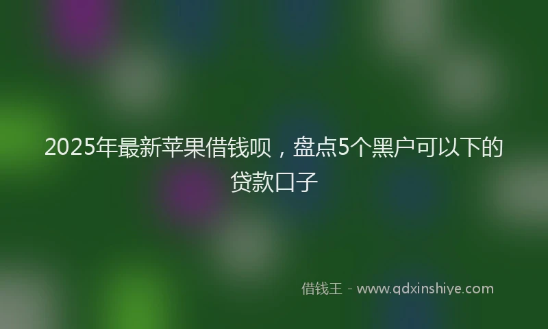 2025年最新苹果借钱呗，盘点5个黑户可以下的贷款口子