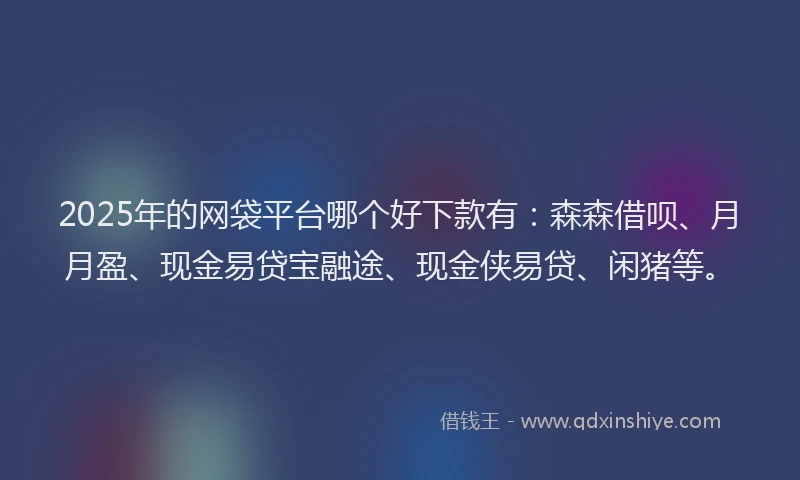 2025年的网袋平台哪个好下款有：森森借呗、月月盈、现金易贷宝融途、现金侠易贷、闲猪等。