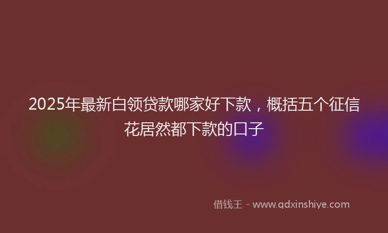 2025年最新白领贷款哪家好下款，概括五个征信花居然都下款的口子