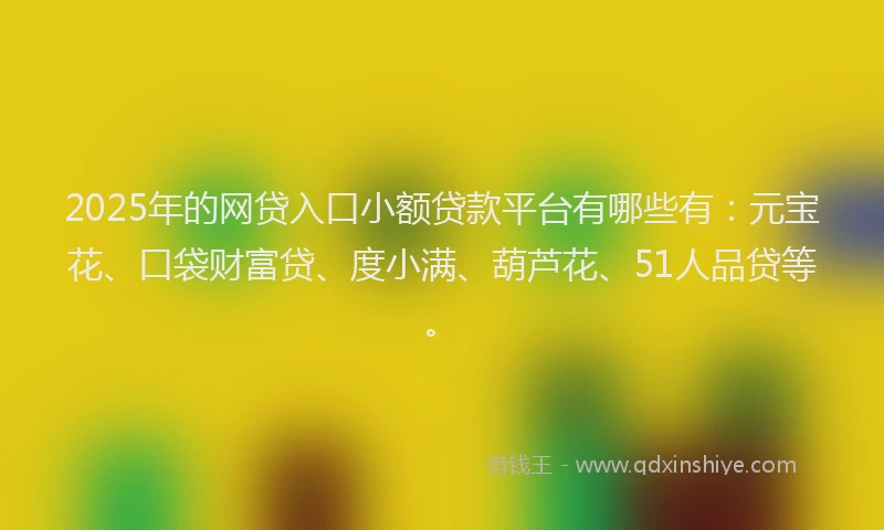 2025年的网贷入口小额贷款平台有哪些有：元宝花、口袋财富贷、度小满、葫芦花、51人品贷等。