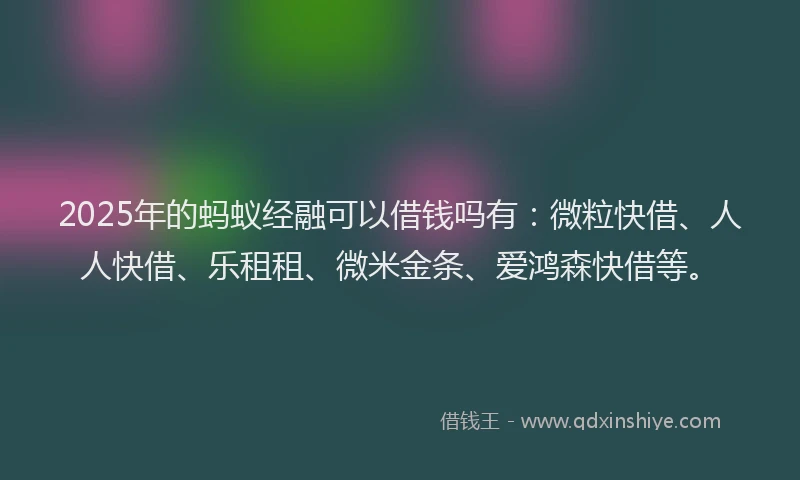 2025年的蚂蚁经融可以借钱吗有：微粒快借、人人快借、乐租租、微米金条、爱鸿森快借等。