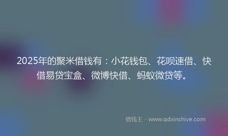 2025年的聚米借钱有：小花钱包、花呗速借、快借易贷宝盒、微博快借、蚂蚁微贷等。