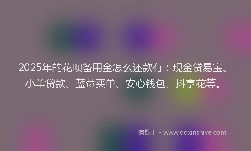 2025年的花呗备用金怎么还款有：现金贷易宝、小羊贷款、蓝莓买单、安心钱包、抖享花等。