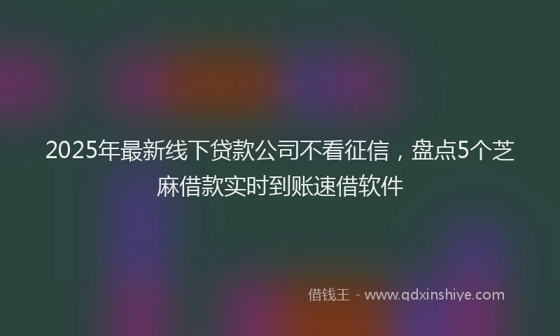 2025年最新线下贷款公司不看征信，盘点5个芝麻借款实时到账速借软件