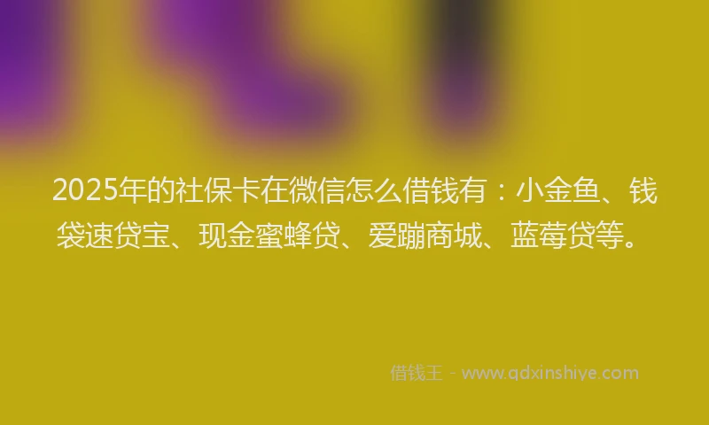 2025年的社保卡在微信怎么借钱有：小金鱼、钱袋速贷宝、现金蜜蜂贷、爱蹦商城、蓝莓贷等。