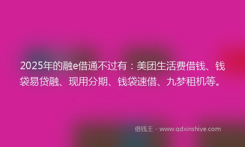 2025年的融e借通不过有：美团生活费借钱、钱袋易贷融、现用分期、钱袋速借、九梦租机等。