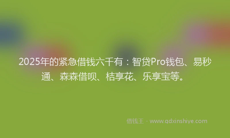 2025年的紧急借钱六千有：智贷Pro钱包、易秒通、森森借呗、桔享花、乐享宝等。