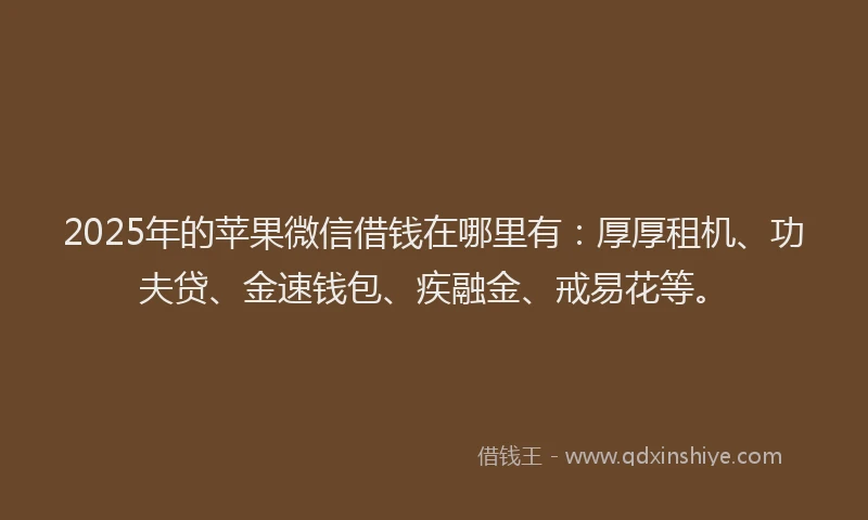 2025年的苹果微信借钱在哪里有：厚厚租机、功夫贷、金速钱包、疾融金、戒易花等。