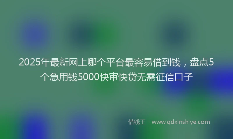 2025年最新网上哪个平台最容易借到钱，盘点5个急用钱5000快审快贷无需征信口子