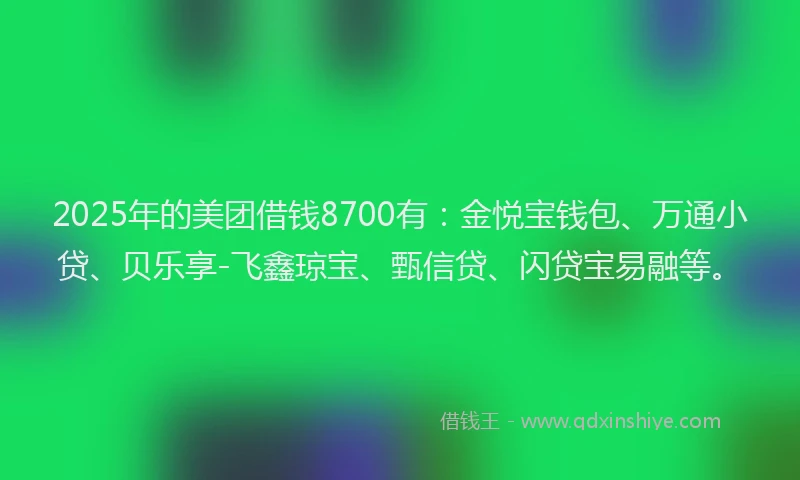 2025年的美团借钱8700有：金悦宝钱包、万通小贷、贝乐享-飞鑫琼宝、甄信贷、闪贷宝易融等。