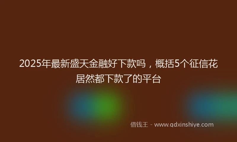 2025年最新盛天金融好下款吗，概括5个征信花居然都下款了的平台