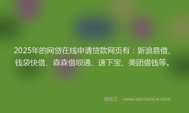 2025年的网贷在线申请贷款网页有：新浪易借、钱袋快借、森森借呗通、速下宝、美团借钱等。