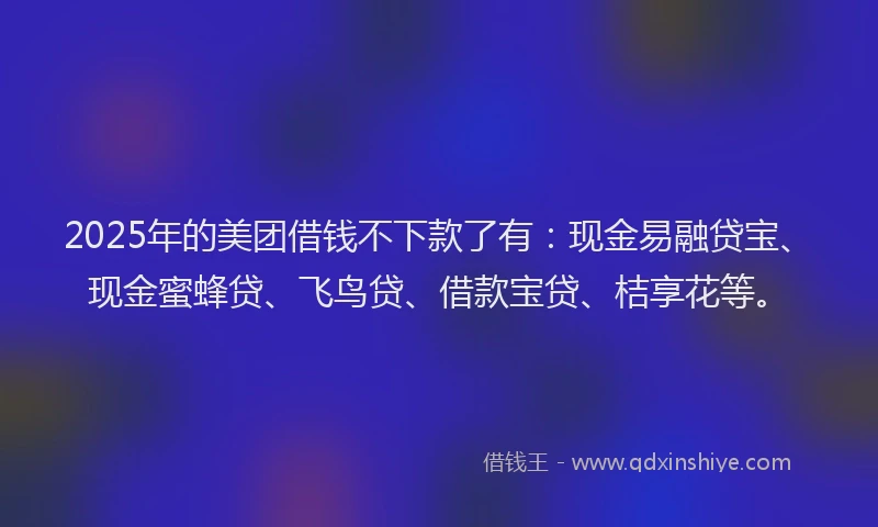 2025年的美团借钱不下款了有：现金易融贷宝、现金蜜蜂贷、飞鸟贷、借款宝贷、桔享花等。