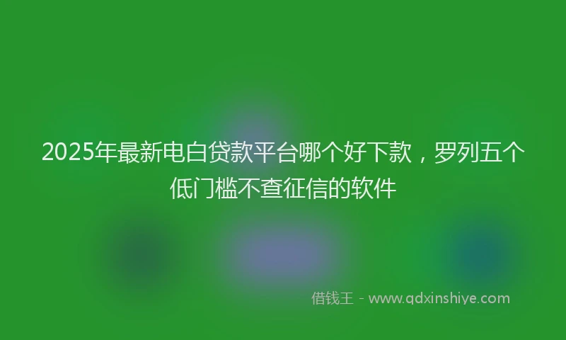 2025年最新电白贷款平台哪个好下款，罗列五个低门槛不查征信的软件