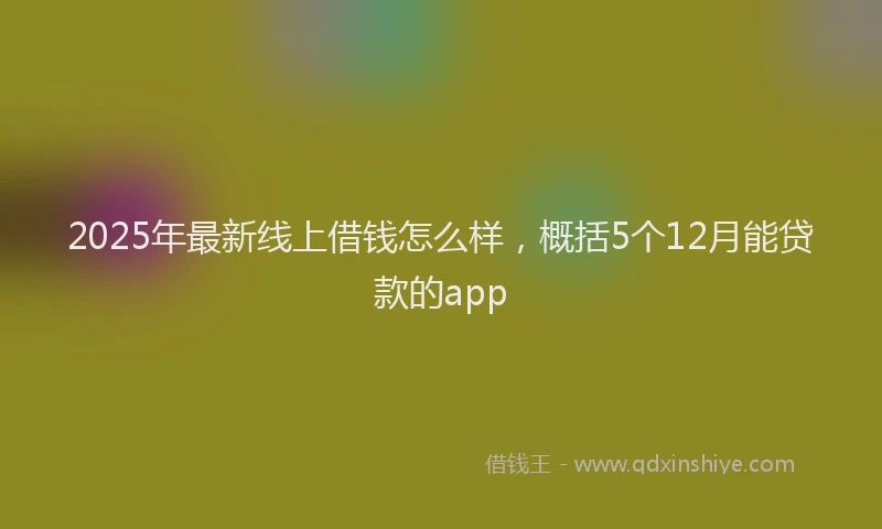 2025年最新线上借钱怎么样，概括5个12月能贷款的app