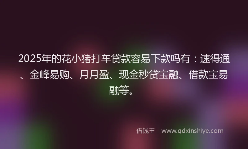 2025年的花小猪打车贷款容易下款吗有：速得通、金峰易购、月月盈、现金秒贷宝融、借款宝易融等。