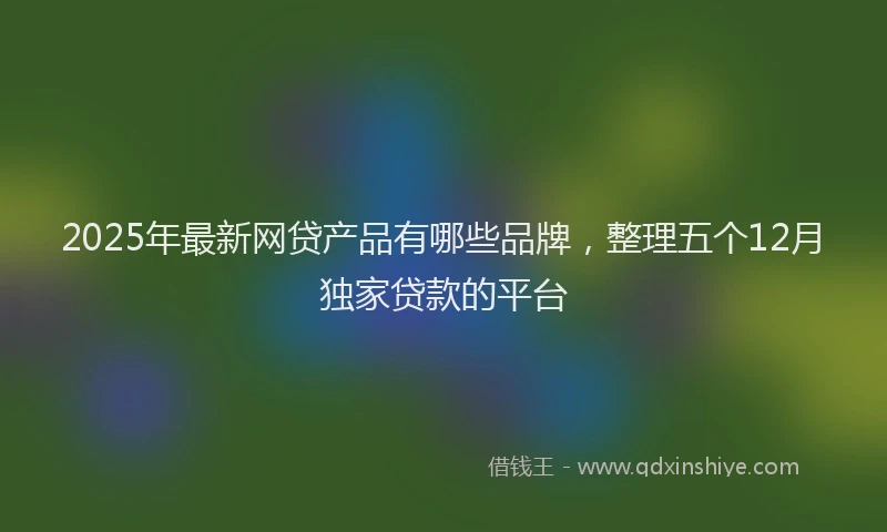 2025年最新网贷产品有哪些品牌，整理五个12月独家贷款的平台