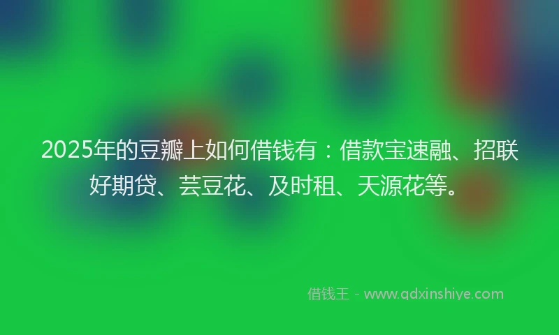 2025年的豆瓣上如何借钱有：借款宝速融、招联好期贷、芸豆花、及时租、天源花等。