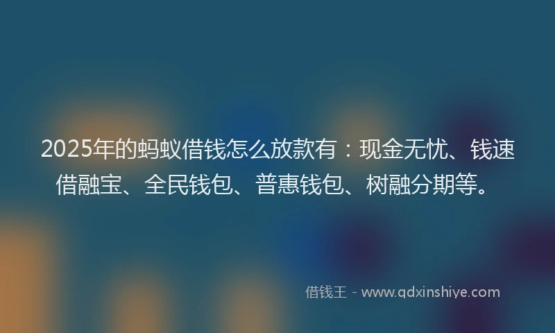 2025年的蚂蚁借钱怎么放款有：现金无忧、钱速借融宝、全民钱包、普惠钱包、树融分期等。