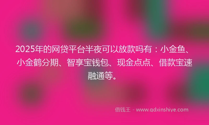 2025年的网贷平台半夜可以放款吗有：小金鱼、小金鹤分期、智享宝钱包、现金点点、借款宝速融通等。
