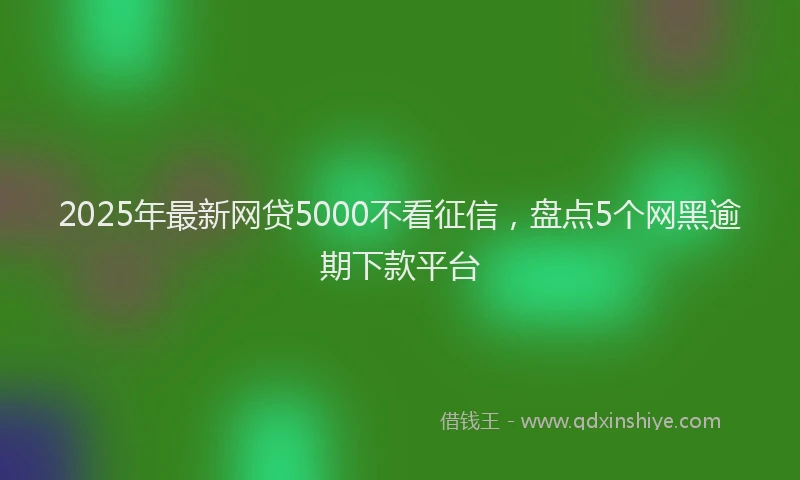 2025年最新网贷5000不看征信，盘点5个网黑逾期下款平台