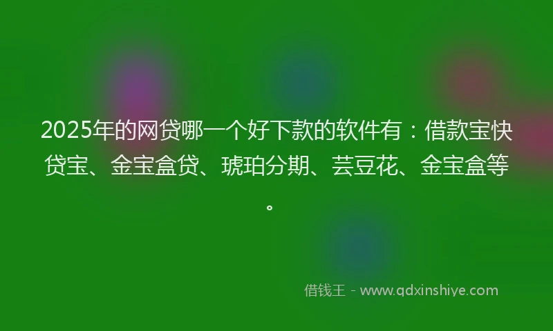 2025年的网贷哪一个好下款的软件有：借款宝快贷宝、金宝盒贷、琥珀分期、芸豆花、金宝盒等。