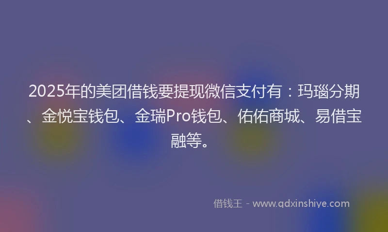 2025年的美团借钱要提现微信支付有：玛瑙分期、金悦宝钱包、金瑞Pro钱包、佑佑商城、易借宝融等。