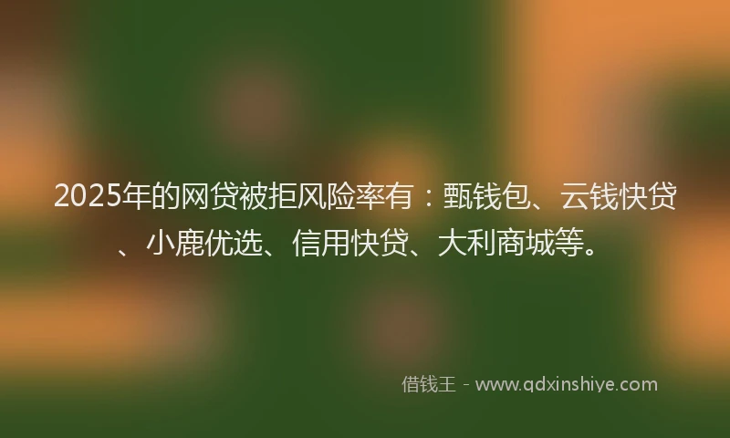 2025年的网贷被拒风险率有：甄钱包、云钱快贷、小鹿优选、信用快贷、大利商城等。