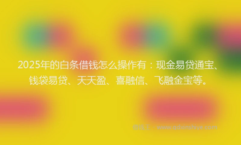 2025年的白条借钱怎么操作有：现金易贷通宝、钱袋易贷、天天盈、喜融信、飞融金宝等。