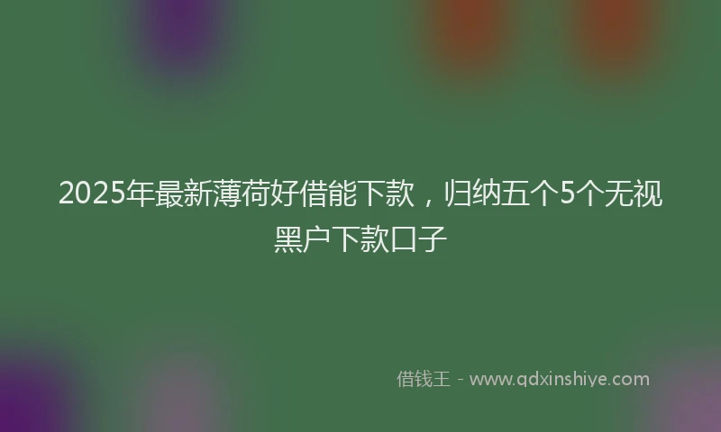 2025年最新薄荷好借能下款，归纳五个5个无视黑户下款口子