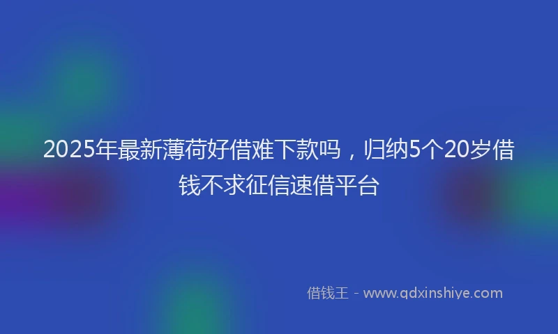 2025年最新薄荷好借难下款吗，归纳5个20岁借钱不求征信速借平台