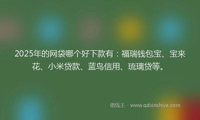 2025年的网袋哪个好下款有：福瑞钱包宝、宝来花、小米贷款、蓝鸟信用、琉璃贷等。
