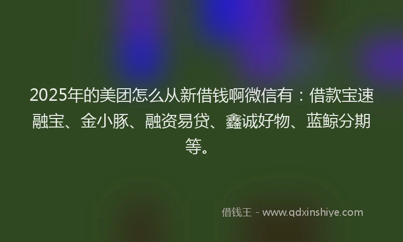 2025年的美团怎么从新借钱啊微信有：借款宝速融宝、金小豚、融资易贷、鑫诚好物、蓝鲸分期等。