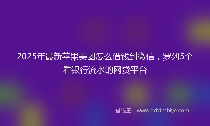 2025年最新苹果美团怎么借钱到微信，罗列5个看银行流水的网贷平台