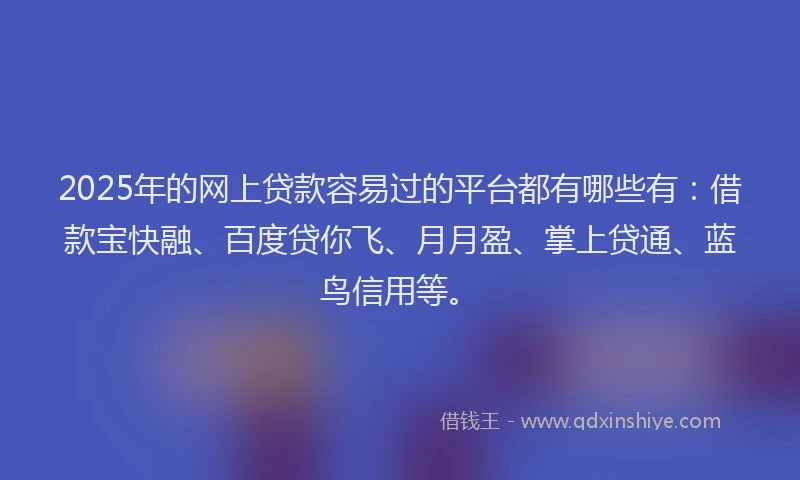 2025年的网上贷款容易过的平台都有哪些有：借款宝快融、百度贷你飞、月月盈、掌上贷通、蓝鸟信用等。