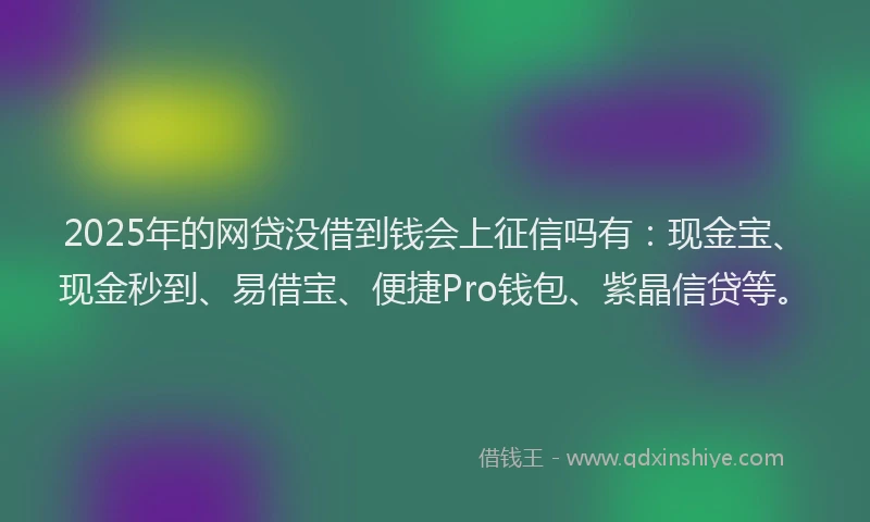 2025年的网贷没借到钱会上征信吗有：现金宝、现金秒到、易借宝、便捷Pro钱包、紫晶信贷等。