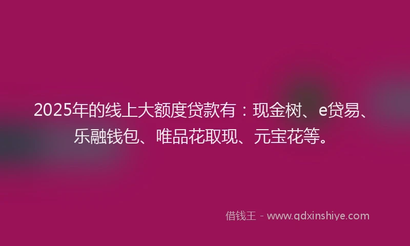 2025年的线上大额度贷款有：现金树、e贷易、乐融钱包、唯品花取现、元宝花等。