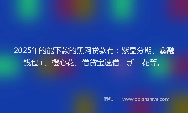 2025年的能下款的黑网贷款有：紫晶分期、鑫融钱包+、橙心花、借贷宝速借、新一花等。
