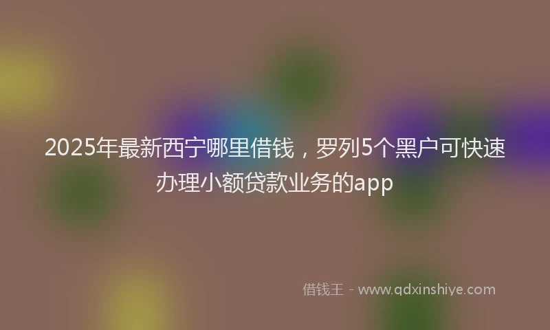 2025年最新西宁哪里借钱，罗列5个黑户可快速办理小额贷款业务的app