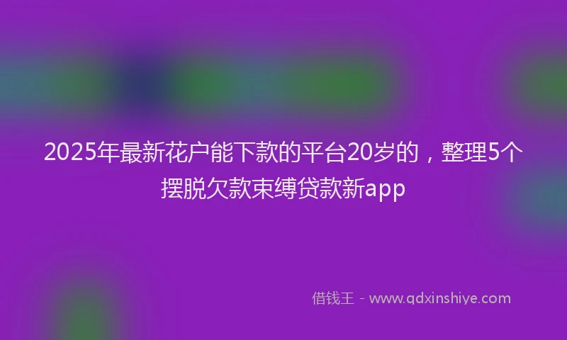 2025年最新花户能下款的平台20岁的，整理5个摆脱欠款束缚贷款新app