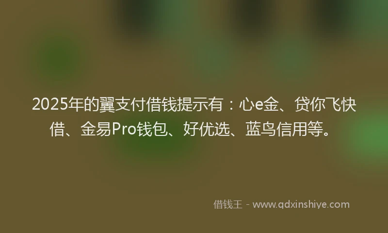 2025年的翼支付借钱提示有：心e金、贷你飞快借、金易Pro钱包、好优选、蓝鸟信用等。
