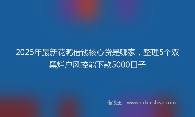 2025年最新花鸭借钱核心贷是哪家，整理5个双黑烂户风控能下款5000口子