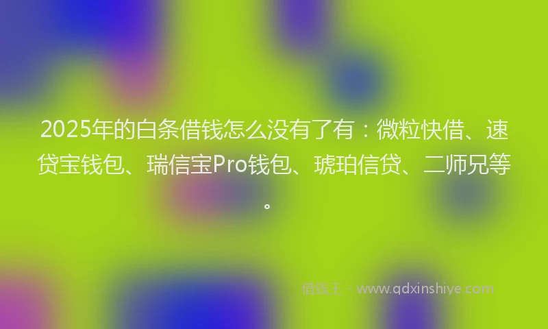 2025年的白条借钱怎么没有了有：微粒快借、速贷宝钱包、瑞信宝Pro钱包、琥珀信贷、二师兄等。