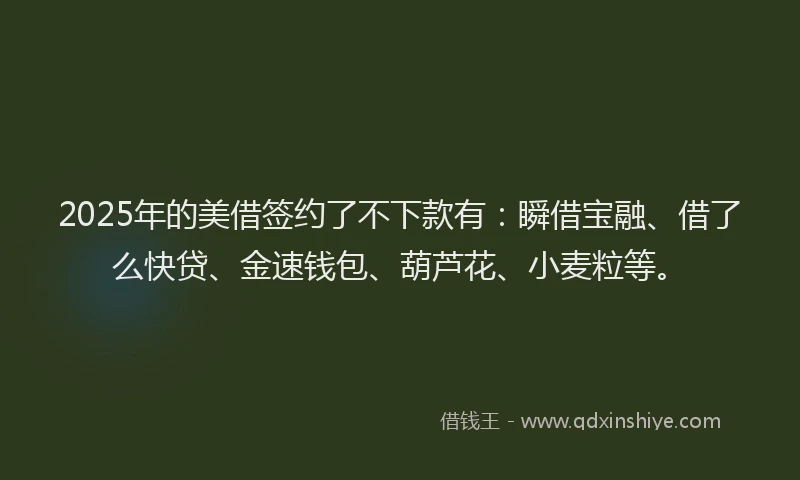 2025年的美借签约了不下款有：瞬借宝融、借了么快贷、金速钱包、葫芦花、小麦粒等。