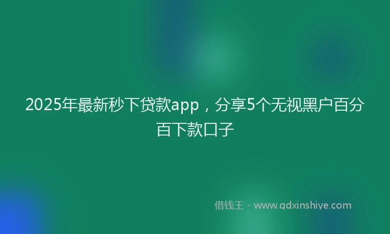 2025年最新秒下贷款app，分享5个无视黑户百分百下款口子